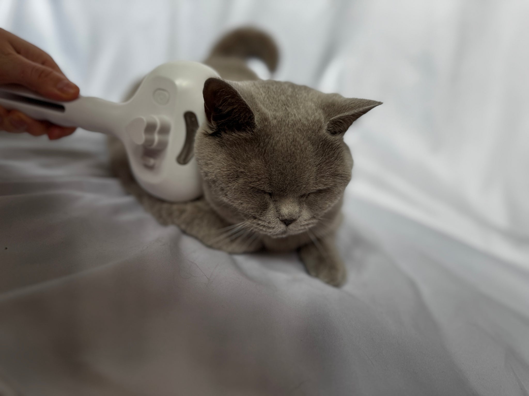 Fellzauber 3 in 1 Bürste