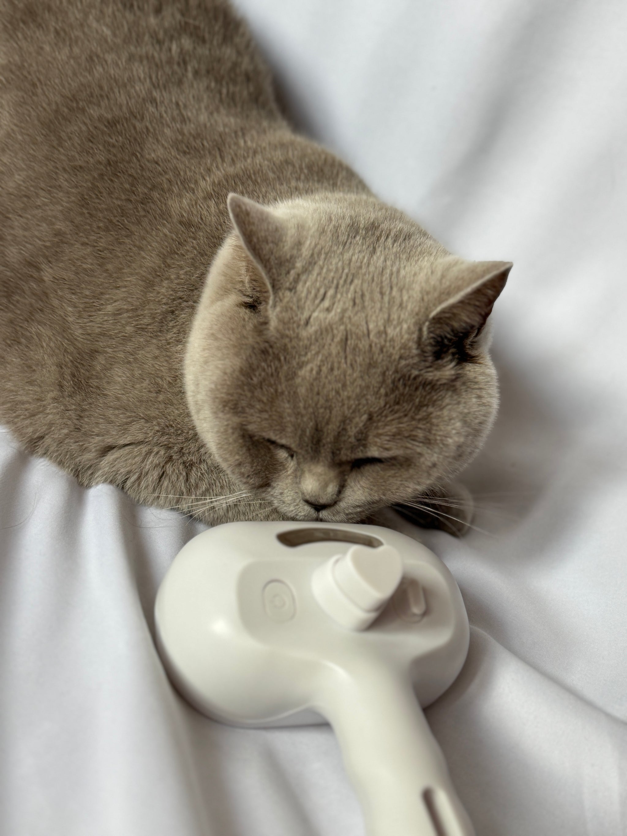 Fellzauber 3 in 1 Bürste