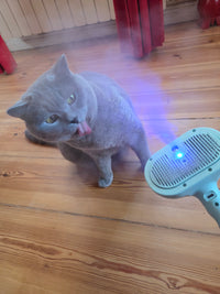 Fellzauber 3 in 1 Bürste